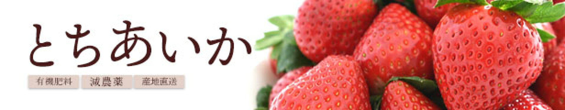 とちあいか4パック