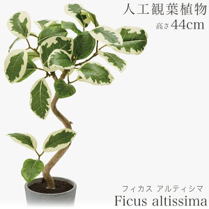 lHϗtA ϗtA  tFCN tFCNO[  ~j rO fXN O[  ~jϗt sv sv CeA JtF  Lb`  AW t