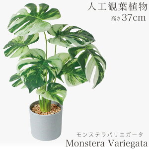 lHϗtA ϗtA  tFCN tFCNO[  ~j rO fXN O[  ~jϗt sv sv CeA JtF  Lb`  AW 