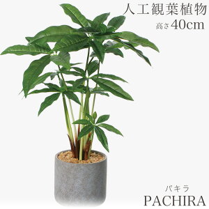 lHϗtA ϗtA  tFCN tFCNO[  ~j rO fXN O[  ~jϗt sv sv CeA JtF  Lb`  AW p