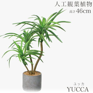 lHϗtA ϗtA  tFCN tFCNO[  ~j rO fXN O[  ~jϗt sv sv CeA JtF  Lb`  AW 