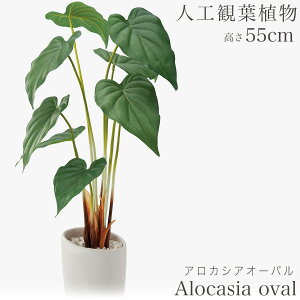 lHϗtA ϗtA  tFCN tFCNO[  ~j rO fXN O[  ~jϗt sv sv CeA JtF  Lb`  AW 