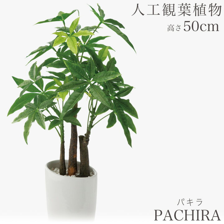 楽天市場】人工観葉植物 観葉植物 造花 フェイク フェイクグリーン 