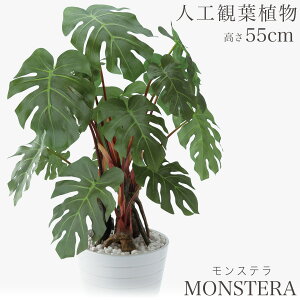 lHϗtA ϗtA  tFCN tFCNO[  ~j rO fXN O[  ~jϗt sv sv CeA JtF  Lb`  AW 