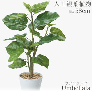 lHϗtA ϗtA  tFCN tFCNO[ rO fXN O[  ~jϗt sv sv CeA JtF  Lb`  AW Ex[^