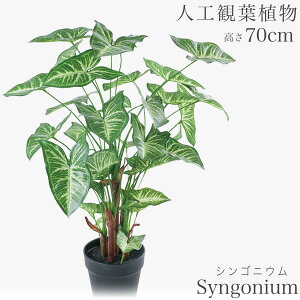 lHϗtA ϗtA  tFCN tFCNO[ rO fXN O[  ~jϗt sv sv CeA JtF  Lb`  AW VSjE