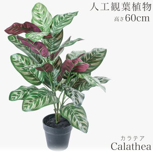 lHϗtA ϗtA  tFCN tFCNO[  ~j rO fXN O[  ~jϗt sv sv CeA JtF  Lb`  AW J