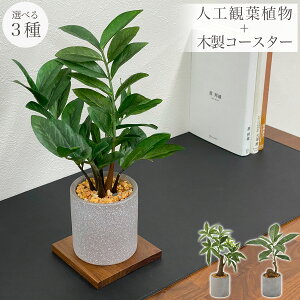 yN[|p5%OFF 1410:00zyEH[ibgR[X^[1+lHϗtAz ϗtA  tFCN tFCNO[  ~j rO fXN O[  ~jϗt sv 