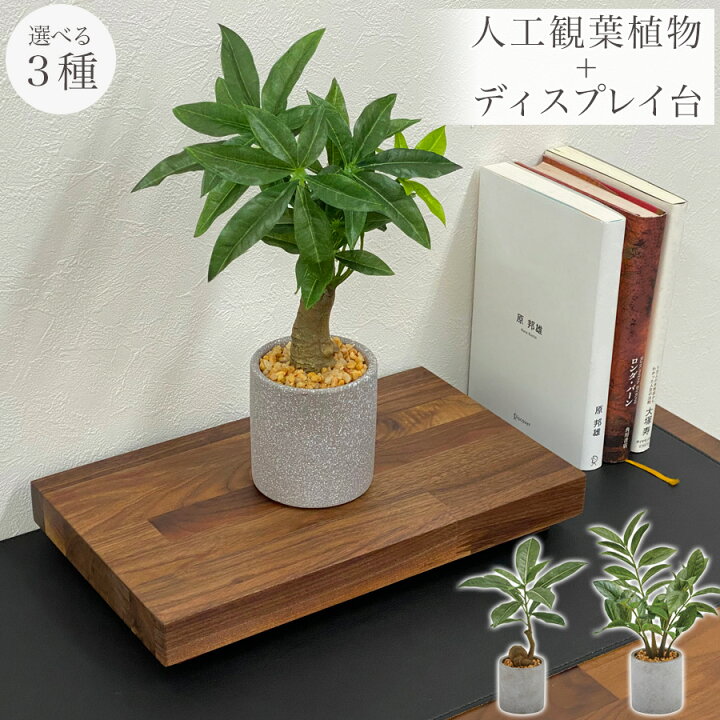 楽天市場】【ディスプレイ台+人工観葉植物】 観葉植物 造花 フェイク 