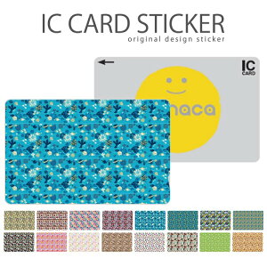 ICJ[hXebJ[ ICJ[hV[ XCJ Suica PASMO pX ICOCA TOICA Edy nanaco 킢  fUC Aj} fUC IV q CI L ]E  U΂