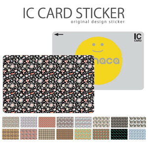 ICJ[hXebJ[ ICJ[hV[ XCJ Suica PASMO pX ICOCA TOICA Edy nanaco 킢  fUC Aj} fUC IV q CI L ]E  U΂