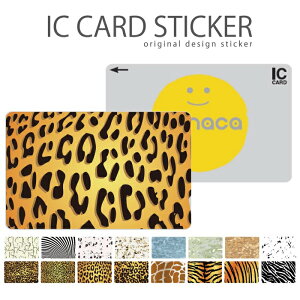ICJ[hXebJ[ ICJ[hV[ XCJ Suica PASMO pX ICOCA TOICA Edy nanaco Aj} fUC є  qE ^ CI Օ [u V}E}    AtJfUC  