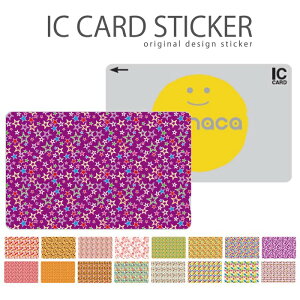 ICJ[hXebJ[ ICJ[hV[ XCJ Suica PASMO pX ICOCA TOICA Edy nanaco POP |bv  fUC  킢 CXg  ԕ t[fUC IV n[g LX}[N