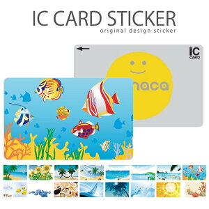 _zN[|zz^ ICJ[hXebJ[ ICJ[hV[ XCJ Suica PASMO pX ICOCA TOICA Edy nanaco C V̖ oJX nCAfUC T[t@[ 썑 nbN