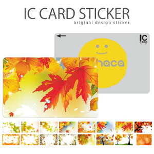 ICJ[hXebJ[ ICJ[hV[ XCJ Suica PASMO pX ICOCA TOICA Edy nanaco ؂̗t t H ݂ gt Y F 厩R i fUC