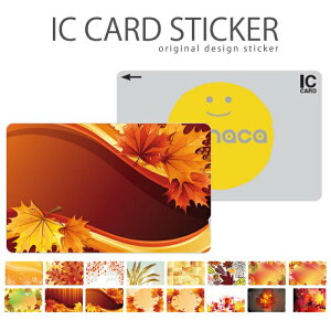 ICJ[hXebJ[ ICJ[hV[ XCJ Suica PASMO pX ICOCA TOICA Edy nanaco ؂̗t t H ݂ gt Y F 厩R i fUC