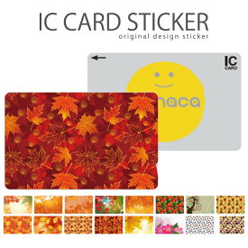 楽天市場 Nanacoの通販