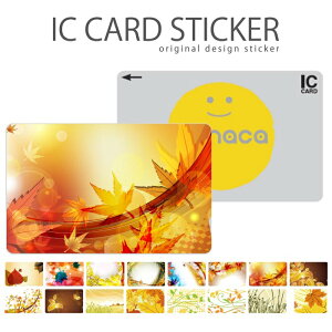 ICJ[hXebJ[ ICJ[hV[ XCJ Suica PASMO pX ICOCA TOICA Edy nanaco ؂̗t t H ݂ gt OwbN C{[ fUC