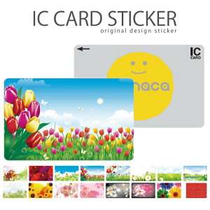 ICJ[hXebJ[ ICJ[hV[ XCJ Suica PASMO pX ICOCA TOICA Edy nanaco t[ fUC ԕ KN o Ђ܂ `[bv 킢