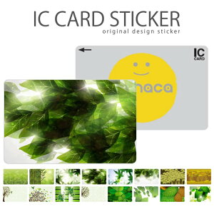 ICJ[hXebJ[ ICJ[hV[ XCJ Suica PASMO pX ICOCA TOICA Edy nanaco  厩R i` fUC t O[ GR eco a