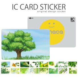 ICカードステッカー ICカードシール スイカ Suica PASMO パスモ ICOCA TOICA Edy nanaco 緑 大自然 ナチュラル デザイン 葉っぱ グリーン エコ eco 和柄