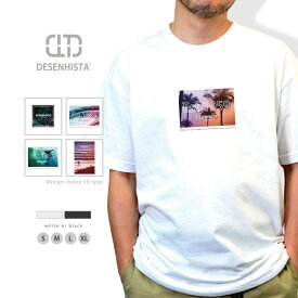Tシャツ デゼニスタ 大人 デザイン ユニセックス メンズ レディース 半袖 綿100％ よれない 透けない コットン ゆったり ハイクオリティー スポーツ Aloha アロハ ハワイアン フォトT