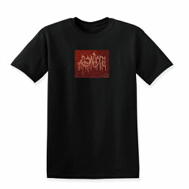 Tシャツ DESENHISTA&#8482; デゼニスタ ブラック 大人 デザイン ユニセックス メンズ レディース 半袖 ゆったり ストリート グラフィティ タギング ドリップ スラム