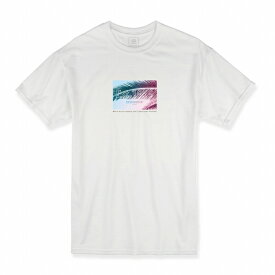 Tシャツ DESENHISTA&#8482; デゼニスタ ホワイト 大人 デザイン ユニセックス メンズ レディース 半袖 ゆったり サーフ ボタニカル カジュアル ギフト プレゼント