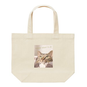 g[gobO fB[X 傫  e LoX  킢  GRobO L ˂ lR 킢 x[W g[gobOY g[gobOfB[X A4 킪