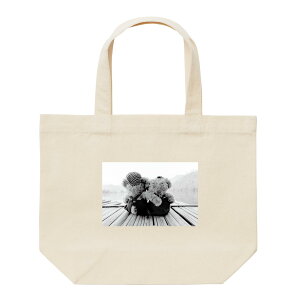 z 50%OFF X[p[Z[ g[gobO fB[X 傫  e LoX  킢  GRobO C` Vv JWA  l oXPbgV[Y 