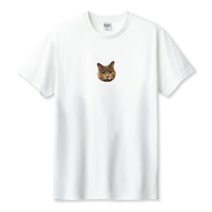 TVc Y jZbNX L lR ˂ ueBbVV[gwA @傤 V[ 낢 TCY S M L LL XL   100% Rbg lC  TVc TVc zC