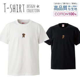 デザイン Tシャツ メンズ サイズ S M L LL XL 半袖 綿 100% 透けない 長持ち プリント コットン ゆったり 白Tシャツ 黒 ホワイト ブラック 写真 カラー プリント プードル シュール ゆる 切り抜き おしゃれ かわいい