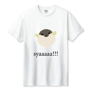 z 50%OFF X[p[Z[ TVc Y jZbNX tO ͓ ӂ  Њd Vv G{ CXg q  킢 TCY S M L LL XL   100% Rbg lC  T