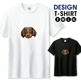 Tシャツ メンズ ユニセックス イヌ 犬 いぬ ダックスフント 動物 アニマル 写真 グラフィック おしゃれ かわいい サイズ S M L LL XL 半袖 綿 100% コットン 人気 ゆったり 白Tシャツ 黒Tシャツ ホワイト ブラック 長持ち プリントtシャツ デザイン よれない 透けない
