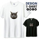 Tシャツ メンズ ユニセックス 猫 ねこ ネコ ブリティッシュショートヘア 動物 アニマル 写真 おしゃれ かわいい サイズ S M L LL XL 半袖 綿 100% よれない 透けない 長持ち プリントtシャツ デザイン コットン 人気 ゆったり 白Tシャツ 黒Tシャツ ホワイト ブラック