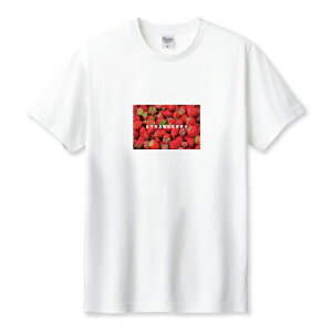 Tシャツ メンズ ユニセックス 果物 フルーツ 食べ物 カラフル 写真 イチゴ いちご 苺 きれい レッド サイズ S M L LL XL 半袖 綿 100% コットン 人気 ゆったり 白Tシャツ 黒Tシャツ ホワイト ブラッ