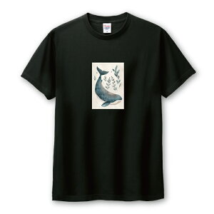 �_30��OFF�N�[�|���z�z�^ T�V���c �����Y ���j�Z�b�N�X �N�W�� ������ �~ �C �C�̐����� ���� ������� ���������� �J�b�R�C�C ���ꂢ �A�E�g�h�A �T�C�Y S M L LL XL ���� �� 100% �R�b�g�� �l�C ��