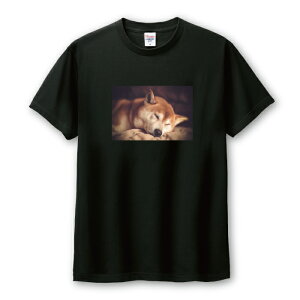 Tシャツ メンズ ユニセックス 犬 いぬ わんちゃん 柴犬 しばけん しばいぬ 癒し 可愛い かわいい 面白い サイズ S M L LL XL 半袖 綿 100% コットン 人気 ゆったり 白Tシャツ 黒Tシャツ ホワイト ブ
