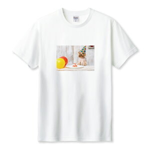 TVc Y jZbNX   񂿂 [NV[eA p[eB a j P[L  킢 TCY S M L LL XL   100% Rbg lC  TVc TV