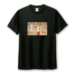 Tシャツ メンズ ユニセックス 柴犬 シバイヌ しばいぬ 犬 しばけん ゆるい 写真 かわいい 可愛い カワイイ サイズ S M L LL XL 半袖 綿 100% コットン 人気 ゆったり 白Tシャツ 黒Tシャツ ホワイト
