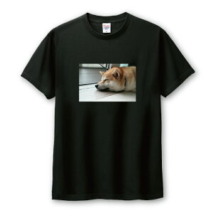 Tシャツ メンズ ユニセックス 柴犬 シバイヌ しばいぬ 犬 しばけん ゆるい 写真 かわいい 可愛い カワイイ サイズ S M L LL XL 半袖 綿 100% コットン 人気 ゆったり 白Tシャツ 黒Tシャツ ホワイト