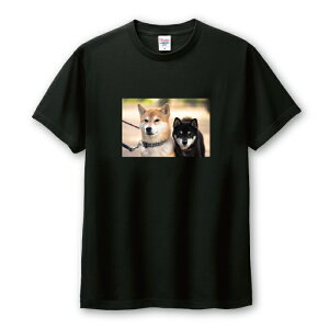 Tシャツ メンズ ユニセックス 柴犬 シバイヌ しばいぬ 犬 子犬 黒柴 クロシバ くろしば 写真 かわいい カワイイ サイズ S M L LL XL 半袖 綿 100% コットン 人気 ゆったり 白Tシャツ 黒Tシャツ ホワ
