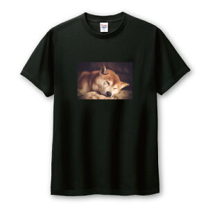 TVc Y jZbNX Č VoCk ΂  ΂ 邢 ʐ^ 킢  JCC TCY S M L LL XL   100% Rbg lC  TVc TVc zCg 