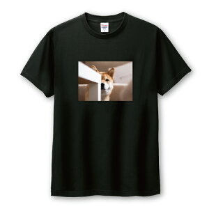 Tシャツ メンズ ユニセックス 柴犬 シバイヌ しばいぬ 犬 しばけん ゆるい 写真 かわいい 可愛い カワイイ サイズ S M L LL XL 半袖 綿 100% コットン 人気 ゆったり 白Tシャツ 黒Tシャツ ホワイト