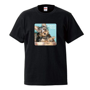 TVc Y jZbNX [NV[eA [L[ x[W   Ck  킢 ʐ^ TCY S M L LL XL   100% Rbg lC  TVc TVc zCg 