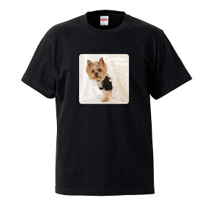 TVc Y jZbNX [NV[eA [L[ x[W   Ck  킢 ʐ^ TCY S M L LL XL   100% Rbg lC  TVc TVc zCg 