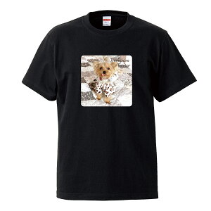 TVc Y jZbNX [NV[eA [L[ x[W   Ck  킢 ʐ^ TCY S M L LL XL   100% Rbg lC  TVc TVc zCg 