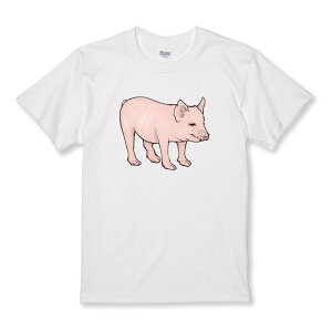 z 50%OFF X[p[Z[ TVc LbY ǂTCY u^ Ԃ q؂ ~ju^ A CXg  킢 TCY 100 110 120 130 140 150   100% Rbg TVc TVc 