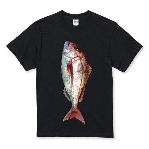 TVc LbY ǂTCY ^C ^  ނ tBbVO t V[ 낢 TCY 100 110 120 130 140 150   100% Rbg TVc TVc zCg ubN ǂ 