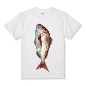 TVc LbY ǂTCY ^C ^  ނ tBbVO t V[ 낢 TCY 100 110 120 130 140 150   100% Rbg TVc TVc zCg ubN ǂ 